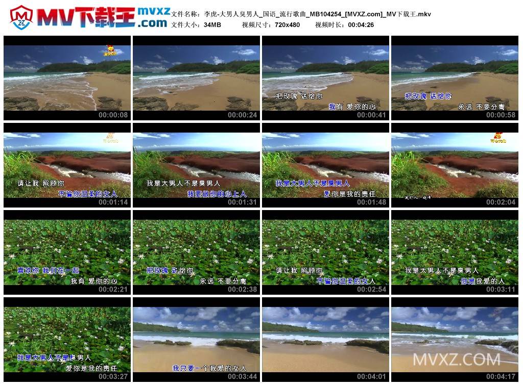 李虎-大男人臭男人_国语_流行歌曲_MB104254